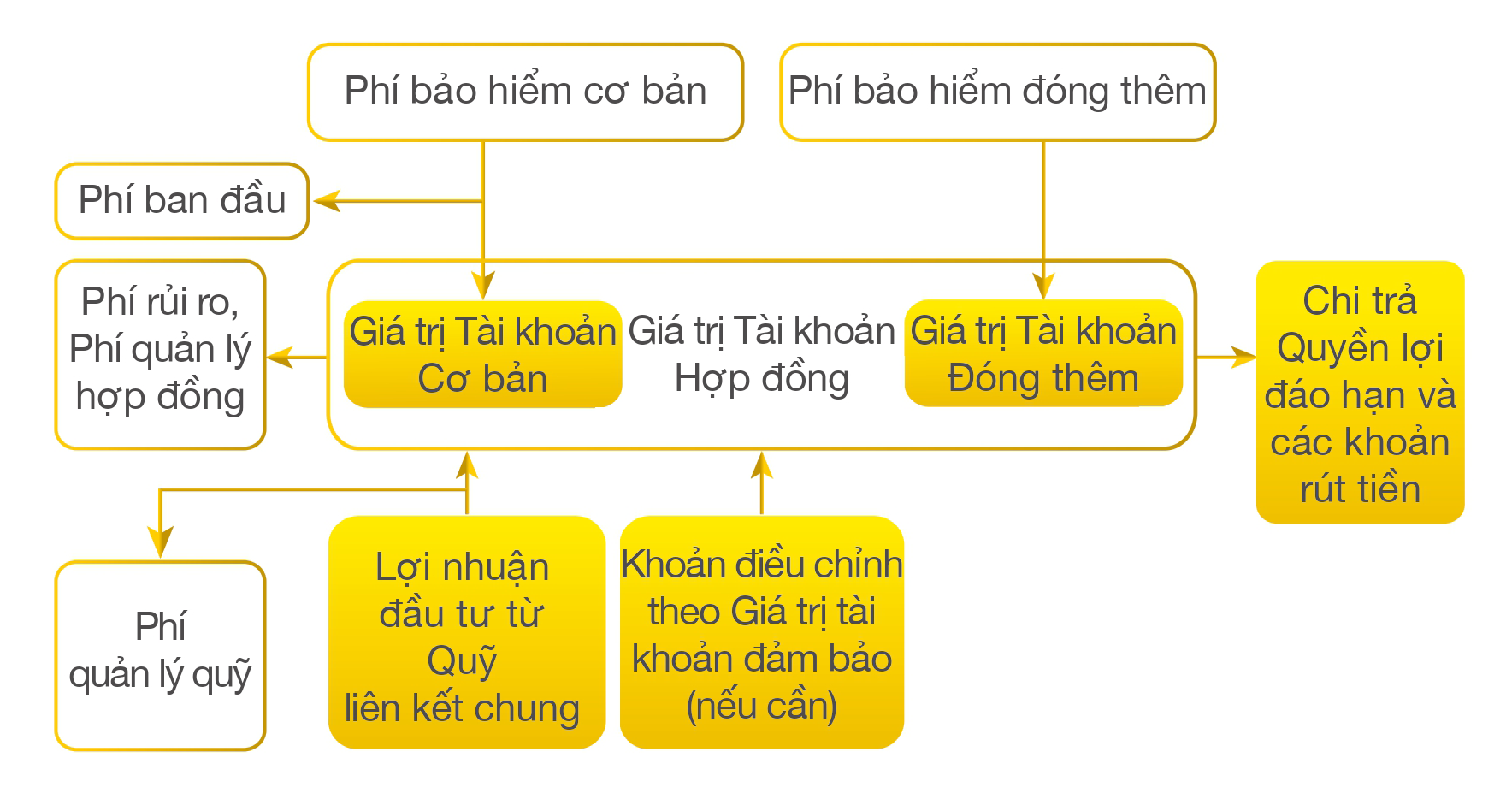 cơ chế hoạt động bảo hiểm an khang như ý